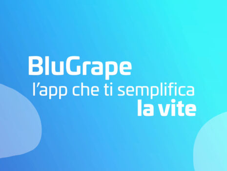 Blu Grape